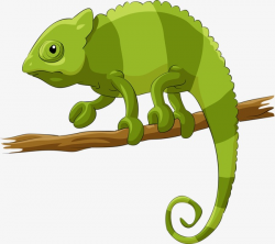 Chameleon, Creative, Cartoon, Hand Painted PNG Image and Clipart for ...