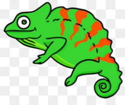 Chameleons Clip art - Chameleon PNG Picture png download - 800*1019 ...