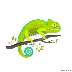 Chameleon icon. Cartoon illustration of walking chameleon vector for ...