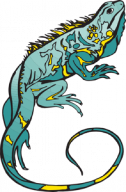 Blue And Yellow Chameleon Clip Art at Clker.com - vector clip art ...