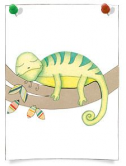 10 best Draw for book images on Pinterest | Chameleon, Chameleons ...