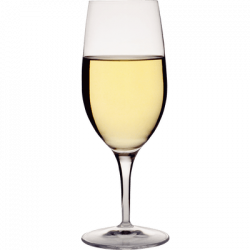 Champagne Glass transparent PNG - StickPNG