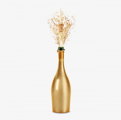 Champagne Splash, Champagne, Bottle, Drink PNG Image and Clipart for ...