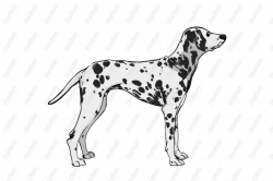 Realistic Dalmatian Dog Cartoon Character Clip Art - Royalty Free ...