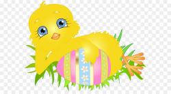 Easter Bunny Chicken Clip art - Easter Chick with Egg PNG Clip Art ...