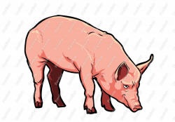 Realistic Pig Character Clip Art - Royalty Free Clipart - Vector ...
