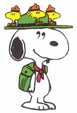 78 best peanuts and snoopy images on Pinterest | Charlie brown ...