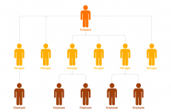 Flat Org Chart Template 3 | Management - 25 Typical Orgcharts ...