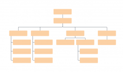 blank organizational chart - Incep.imagine-ex.co