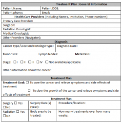 38+ Free Treatment Plan Templates in Word Excel PDF