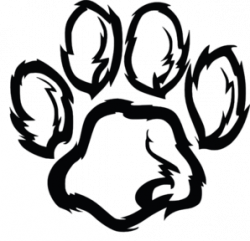 Wildcat Paw Plain clip art | School theme | Pinterest | Clip art ...