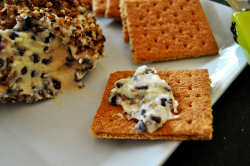Chocolate Chip Cheese Ball - Kitchy Cooking