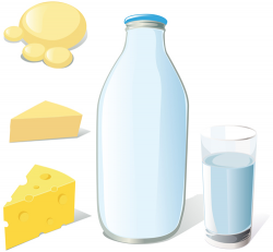 Set of Milk and cheese design vector graphics 01 free download