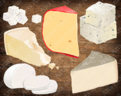 Painted Cheese ClipArt,Camembert,Dorblu,Mozzarella,Sulguni,Cheese ...