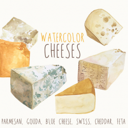 Watercolor Cheese Clipart, Culinary Clip art, Cookbook Illustrations ...