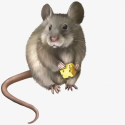 Cheese-eating Rat, Cheese, Mouse, Lovely PNG Image and Clipart for ...