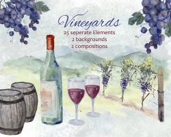 Vineyards, Wine and Cheese Clipart, Hand painted watercolor: Wine ...