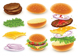 Hamburger vector. Clipart of vector hamburger with its ingredients ...