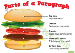 Parts of a Paragraph Poster Teaching Resource – Teach Starter