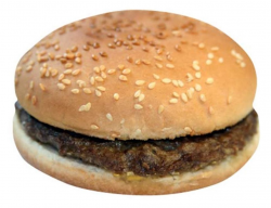 Just A Plain Burger Please - Next Level Web Developers