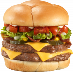 Burger and sandwich PNG images download pictures