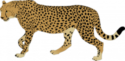 Image - Cheetah-clipart-cheetah-clip-art.png | Animal jam animal ...