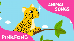 Cheetah Bang Bang | Cheetah | Animal Songs | Pinkfong Songs for ...
