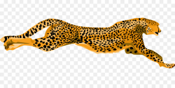Cheetah Leopard Jaguar Clip art - Flying leopard png download - 1280 ...
