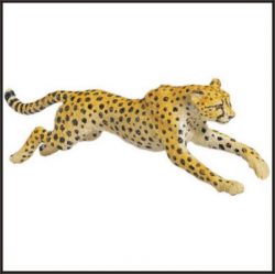 tiger panther cheetah lion big cat animations - Clip Art Library