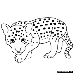 Cheetah Outline Drawing at GetDrawings.com | Free for personal use ...