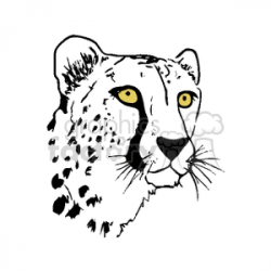Black and white cheetah with vibrant yellow eyes clipart. Royalty-free  clipart # 129636