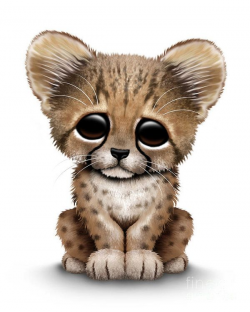 Cute Baby Cheetah Cub Art Print by Jeff Bartels | Baby cheetahs ...