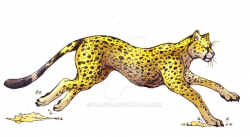Running Cheetah by IzaPug on DeviantArt