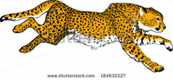 28+ Collection of Running Cheetah Clipart | High quality, free ...
