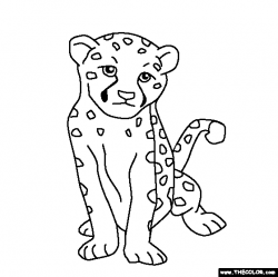 100% free coloring page of a Baby Cheetah. Color in this picture of ...