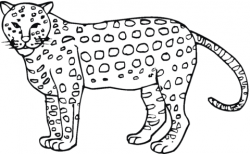 Cheetah 7 coloring page | Free Printable Coloring Pages