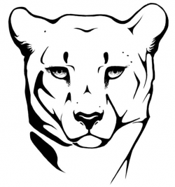 Cheetah Head Drawing Images & Pictures - Becuo | Cool ...
