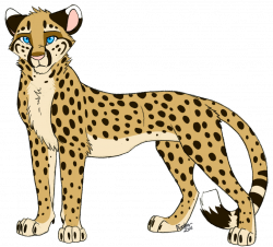 Cheetah drawing clipart images gallery for free download ...