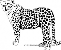 Cheetah Outline Drawing at GetDrawings.com | Free for personal use ...