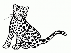 Cheetah Cartoon Drawing - Drawing Of Sketch
