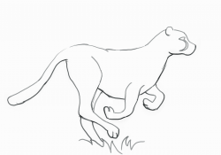 28+ Collection of Easy Cheetah Drawing | High quality, free cliparts ...