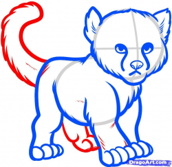Cheetah Drawing Step By Step at GetDrawings.com | Free for personal ...