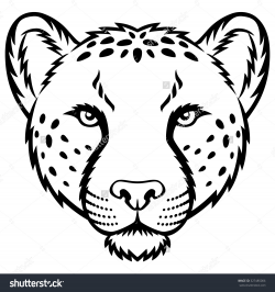 Cheetah Drawing Step By Step at GetDrawings.com | Free for personal ...
