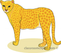 Free cheetah clipart clip art pictures graphics illustrations ...
