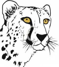 A Black and White Cheetah with Yellow Eyes - Clipart