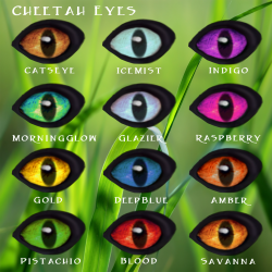 Eye Types – wildkajaerablog
