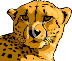 Cheetah Cartoon Faces Clipart