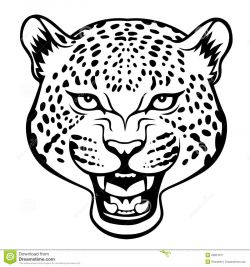 28+ Collection of Cheetah Face Clipart Black And White | High ...