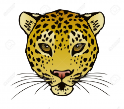 28+ Collection of Cheetah Clipart Face | High quality, free cliparts ...