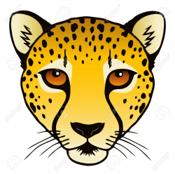 Cheetah clipart face - Pencil and in color cheetah clipart face